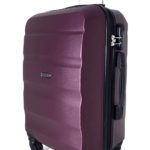 629979292_chemodan-wings-bordo