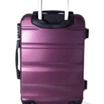 629979294_chemodan-wings-bordo