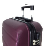 629979296_chemodan-wings-bordo
